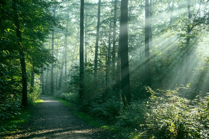 Webinar events thumbnail