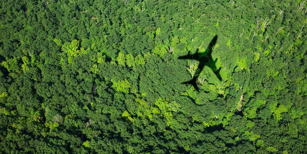<span>Travel Manager Insights Series: Solving the Business Travel Sustainability Puzzle</span>
